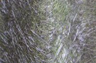 Studley Green fibreglass roof work